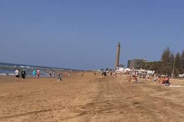 Centenares de peces aparecen muertos en Maspalomas y Playa del Inglés/TA.